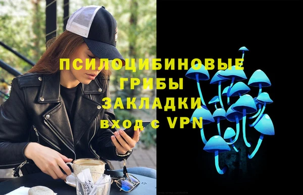 гидропоника Алексеевка