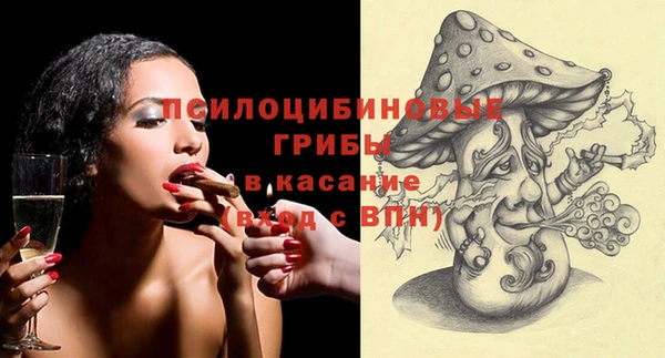 гидра Алзамай