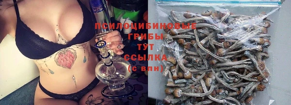 гидропоника Алексеевка