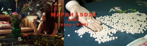 PSILOCYBIN Майский