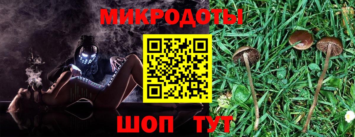 Псилоцибиновые грибы MAGIC MUSHROOMS Владимир
