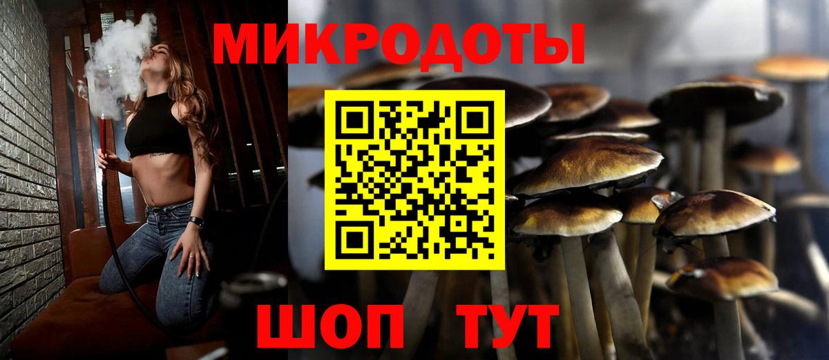 Псилоцибиновые грибы мицелий  Вход с VPN  Владимир 